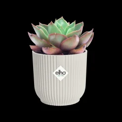 Potten En Vazen|Ecocheques|ohgreen Pot vibes fold 11cm zijdewit