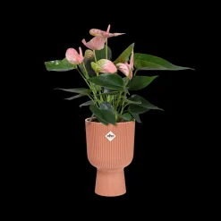 Potten En Vazen|Ecocheques|ohgreen Pot vibes fold coupe 14cm delicate roze
