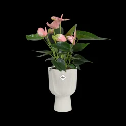 Potten En Vazen|Ecocheques|ohgreen Pot vibes fold coupe 14cm zijdewit