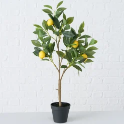 Sfeermakers|ohgreen Potplant Citroen
