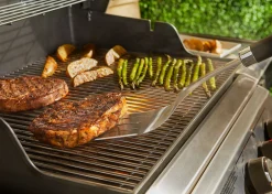 Accessoires En Onderhoud|ohgreen PRECISION BARBECUESPATEL