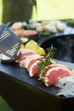 Accessoires En Onderhoud|ohgreen Premium spatel