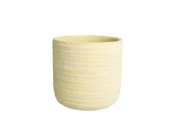 Potten En Vazen|ohgreen PRIMROSE Orch pot D14