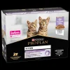 Kat Voeding|Werelddierendag|ohgreen PRO PLAN Natte Voeding Junior Kalkoen(10x85g)