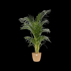 Potten En Vazen|Ecocheques|ohgreen Rond 18cm