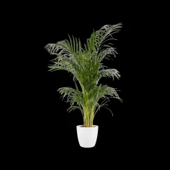 Ecocheques|Potten En Vazen|ohgreen Rond 18cm