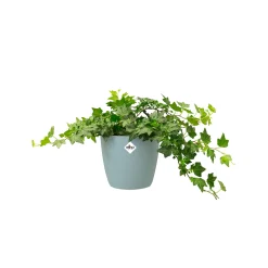 Ecocheques|Potten En Vazen|ohgreen Rond 16cm
