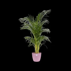 Potten En Vazen|Ecocheques|ohgreen Rond 16cm