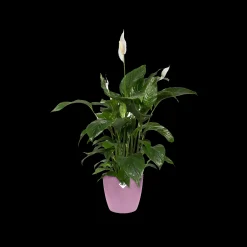 Potten En Vazen|Ecocheques|ohgreen Rond 18cm