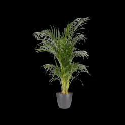 Ecocheques|Potten En Vazen|ohgreen Rond 16cm