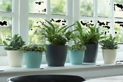 Ecocheques|Potten En Vazen|ohgreen Rond 20cm