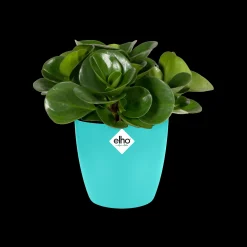 Potten En Vazen|Ecocheques|ohgreen Rond mini 9,5cm