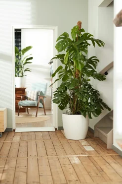 Ecocheques|Potten En Vazen|ohgreen Rond wielen 47cm