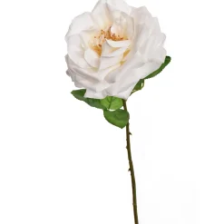 Sfeermakers|ohgreen Roos creme 45 cm