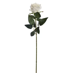 Sfeermakers|ohgreen Roos creme 69 cm
