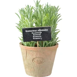 Sfeermakers|Ecocheques|ohgreen Rosemarijn in at pot l