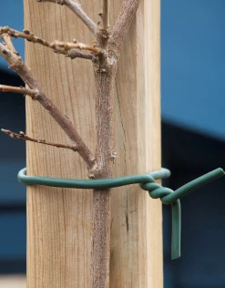 Bind En Steun|Ecocheques|ohgreen Rubber bindband d6mm x 5m