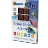 Voeding|ohgreen Sf artemia 100 gram