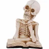 Sfeermakers|Halloween|ohgreen Skelet on book led light natuur