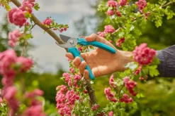 Ecocheques|Handgereedschap|ohgreen Snoeischaar EasyCut