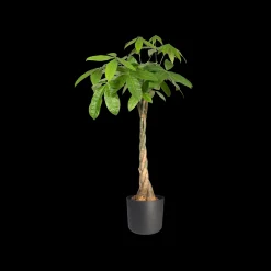 Ecocheques|Potten En Vazen|ohgreen SOFT ROND 14CM ANTRACIET