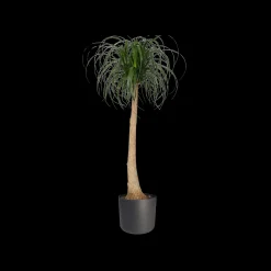 Ecocheques|Potten En Vazen|ohgreen SOFT ROND 22CM ANTRACIET