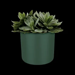 Ecocheques|Potten En Vazen|ohgreen SOFT ROND 16CM BLAD GROEN