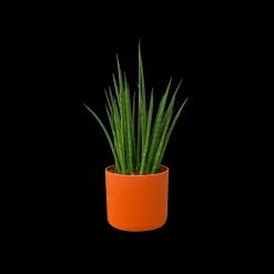 Ecocheques|Potten En Vazen|ohgreen SOFT ROND 14CM BRIQUE