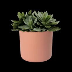 Ecocheques|Potten En Vazen|ohgreen SOFT ROND 16CM DELICAAT ROZE