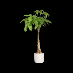 Ecocheques|Potten En Vazen|ohgreen SOFT ROND 18CM WIT
