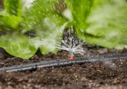 Bewatering|Ecocheques|ohgreen Startset voor bloembedden of moestuin