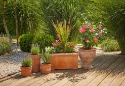 Bewatering|Ecocheques|ohgreen Startset voor terras of balkon