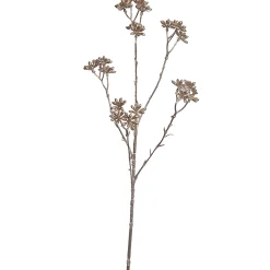 Kerstdecoratie|ohgreen Steranjs 62cm champagne