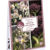 Ecocheques|Bloembollen|ohgreen Tas 'a bulb for every garden' met 35 bloembollen dry garden