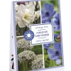 Ecocheques|Bloembollen|ohgreen Tas 'a bulb for every garden' met 35 bloembollen sunny garden