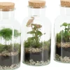 Composities En Terrariums|Ecocheques|ohgreen Terrarium