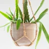 Potten En Vazen|ohgreen Tery hanger