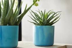 Potten En Vazen|Ecocheques|ohgreen The Ocean Collection 16 Atlantic blue