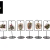 Groene Planten|Ecocheques|ohgreen Tilly Tiles Design (luchtplantje)