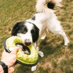 Verkoeling Voor Je Dier|Speelgoed|ohgreen Tug-o-war loop - y 21x5,2,5
