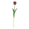 Sfeermakers|ohgreen Tulipa