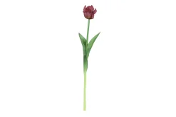 Sfeermakers|ohgreen Tulipa