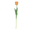 Sfeermakers|ohgreen Tulipa