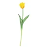 Sfeermakers|ohgreen Tulipa