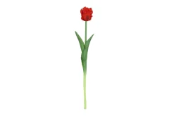 Sfeermakers|ohgreen Tulipa