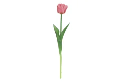 Sfeermakers|ohgreen Tulipa
