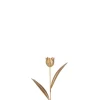 Sfeermakers|ohgreen Tulp metaal goud s (8x4x30cm)