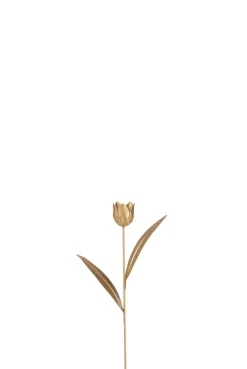 Sfeermakers|ohgreen Tulp metaal goud s (8x4x30cm)
