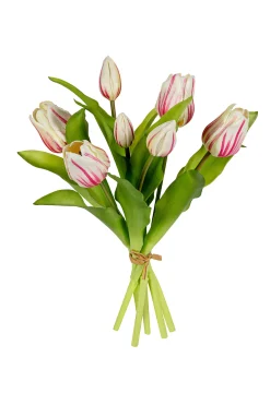 Sfeermakers|ohgreen Tulpenbundel creme/roze