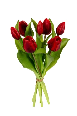 Sfeermakers|ohgreen Tulpenbundel donker rood